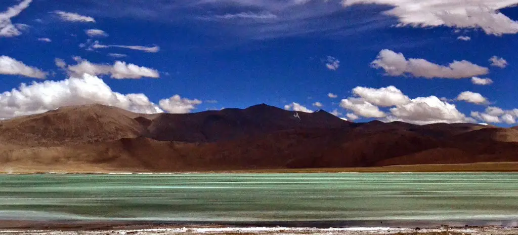 Tso Kar, Ladakh