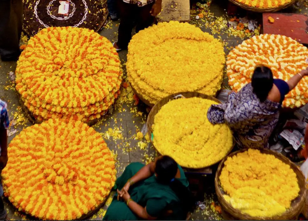Bangalore Flower Market
