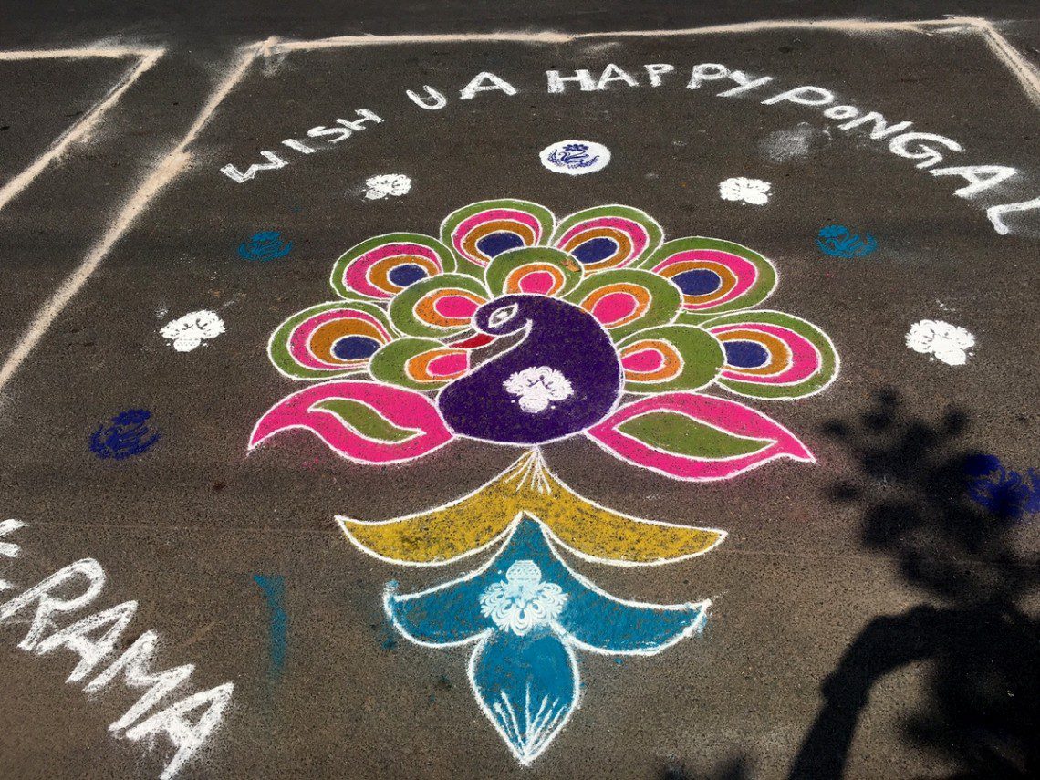 Sankranti in Telengana | Riot of Colourful Rangoli!
