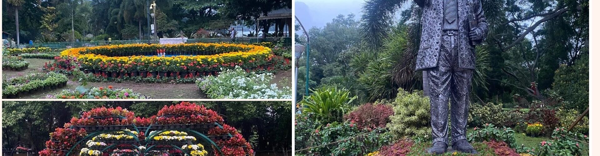 lalbagh flower show