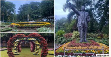 lalbagh flower show