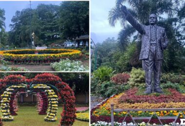 lalbagh flower show