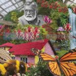 lalbagh flower show 2026