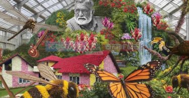 lalbagh flower show 2026