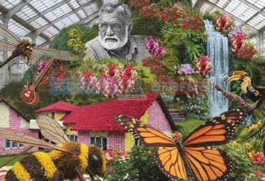 lalbagh flower show 2026