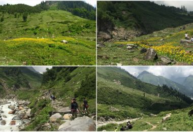 trek in manali