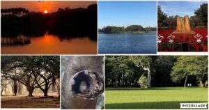 morning walk in Lalbagh