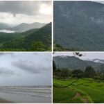 goa in the monsoon