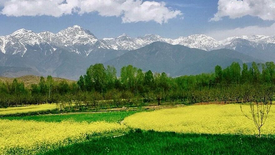 Landscape Kashmir